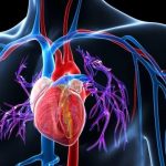 3 metodi naturali per abbassare la pressione in meno di 30 minuti testati scientificamente