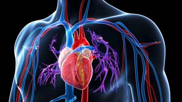 3 metodi naturali per abbassare la pressione in meno di 30 minuti testati scientificamente