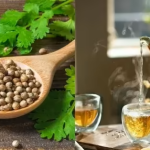 Infusione di coriandolo per la digestione e l’equilibrio ormonale (ricette e consumo)