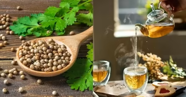 Infusione di coriandolo per la digestione e l’equilibrio ormonale (ricette e consumo)