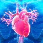 I migliori alimenti che puliscono le arterie e prevengono le malattie cardiache