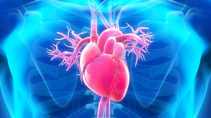 I migliori alimenti che puliscono le arterie e prevengono le malattie cardiache