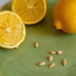 Non gettare i semi di limone: il loro utilizzo ti sorprenderà