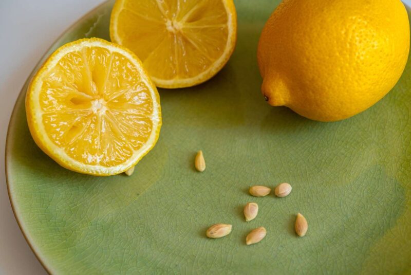 Non gettare i semi di limone: il loro utilizzo ti sorprenderà