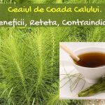 Tè di coda di cavallo: un potente rimedio naturale