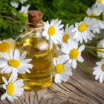 L’olio di camomilla: un alleato dimenticato per la pelle sensibile (ricetta e modalità d’uso)