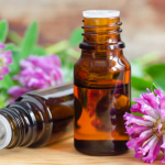 Olio di trifoglio rosso: utilizzo e benefici per la pelle e la salute