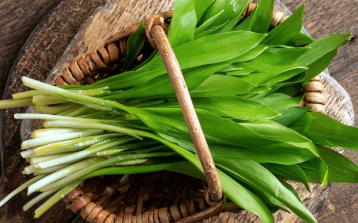LEURDA Il DETOSSIFICANTE NATURALE e ECONOMICO per l’organismo, perfetto dopo l’inverno!