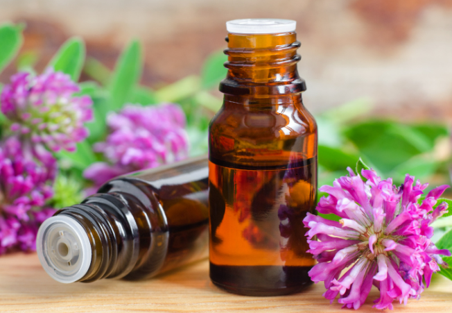 Olio di trifoglio rosso: utilizzo e benefici per la pelle e la salute