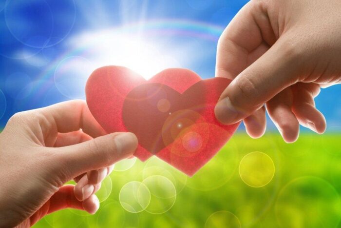 Per un cuore sano dopo i 40 anni: La verdura che protegge i vasi sanguigni