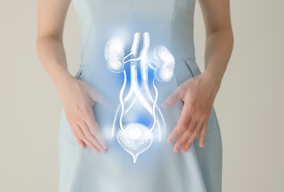 La combinazione di piante che ti libera dalle infezioni urinarie ricorrenti: preparazione, consumo e controindicazioni