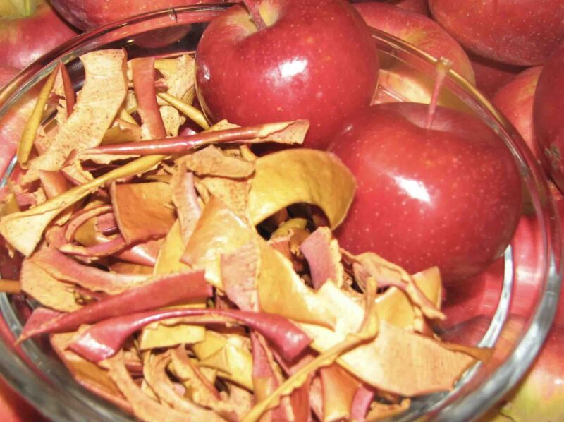 Infusione con bucce secche di mela e chiodi di garofano: aroma giapponese con effetti digestivi