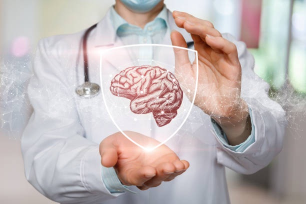 Cosa dicono le ricerche sulla pianta che protegge il cervello e come prepararla
