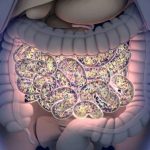 Pianta dal gusto amaro che equilibra la flora intestinale: preparazione, consumo, controindicazioni