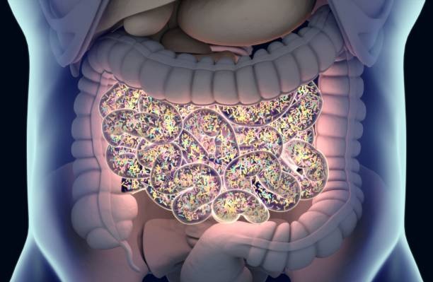 Pianta dal gusto amaro che equilibra la flora intestinale: preparazione, consumo, controindicazioni