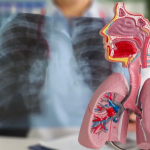 Il timo, la pianta che libera le vie respiratorie: come agisce e cosa dicono gli studi recenti
