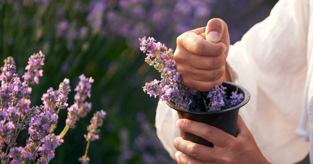 Lavanda: rimedio con poteri miracolosi per ridurre l’ansia, migliorare la qualità del sonno, alleviare la depressione e rilassare i muscoli