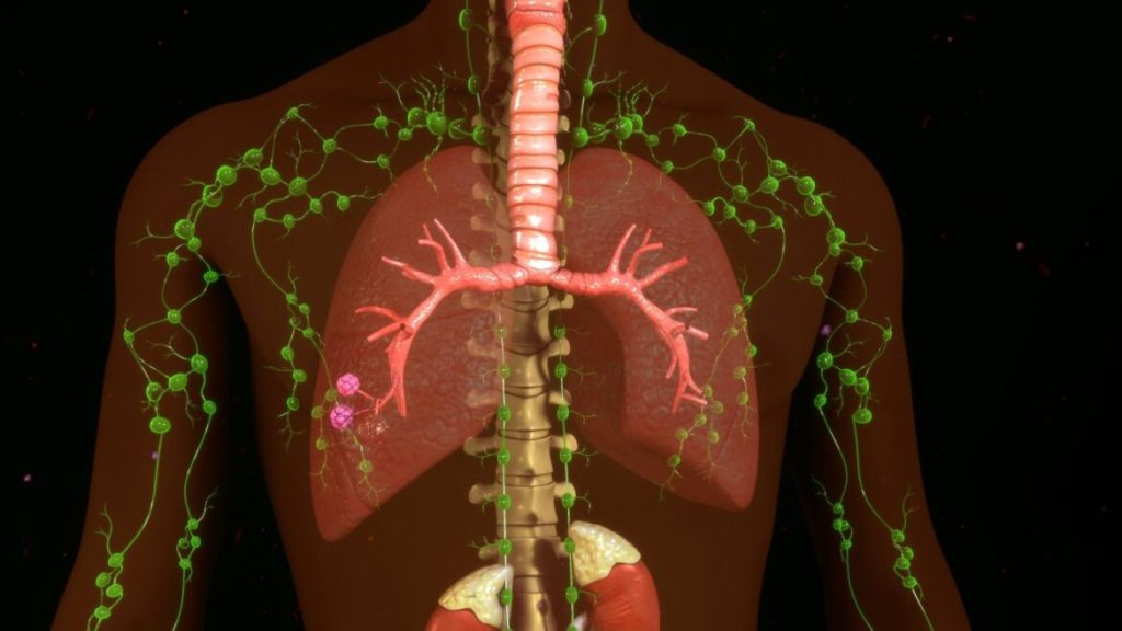 Linfa pulita, corpo più sano: come aiutarla con piante e massaggio