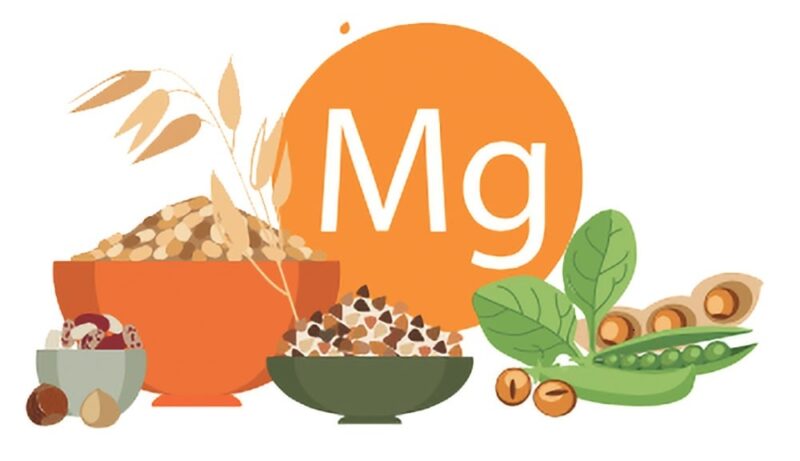 Il Magnesio in Natura: Le Fonti Alimentari Più Ricche e i Benefici per l’Organismo