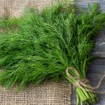 Il mirto è speciale sia dal punto di vista culinario che medicinale. È utilizzato da secoli per i benefici che offre