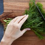 Benefici sorprendenti del prezzemolo, un tesoro in ogni cucina