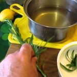 Acqua di dragoncello: un’alternativa interessante con effetto digestivo