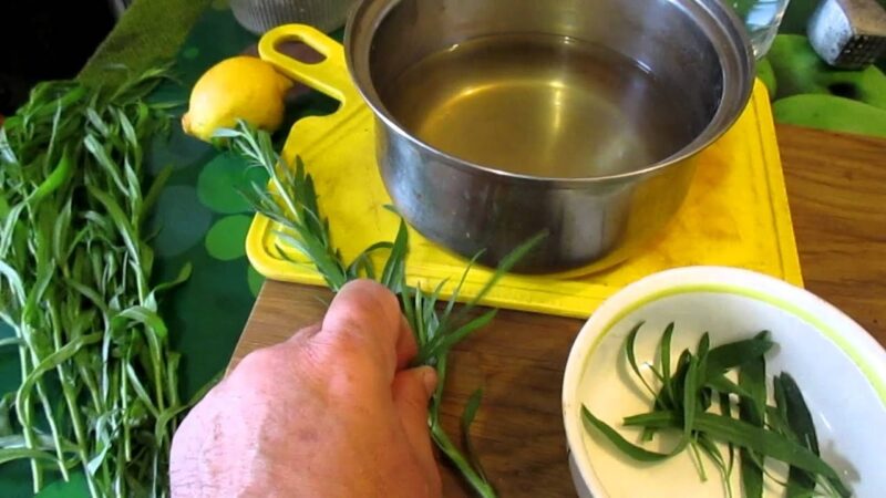 Acqua di dragoncello: un’alternativa interessante con effetto digestivo