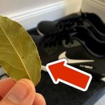 Perché mettere foglie di alloro nelle scarpe per alcune ore