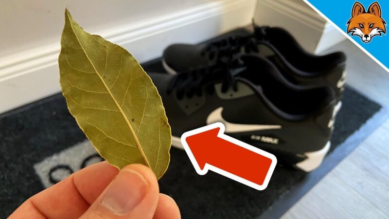Perché mettere foglie di alloro nelle scarpe per alcune ore