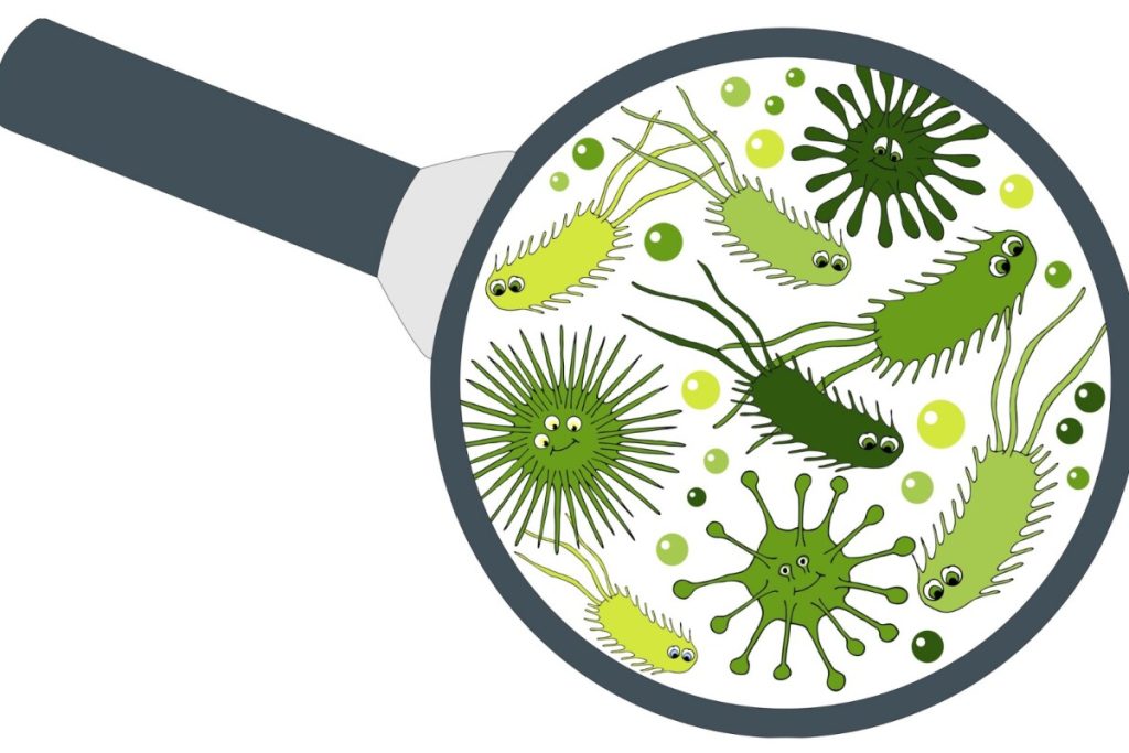 Il microbioma umano: Come funziona e dieta per la salute intestinale