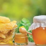 L’oro vivo dell’alveare: Perché il miele rimane il più potente elisir naturale dell’umanità