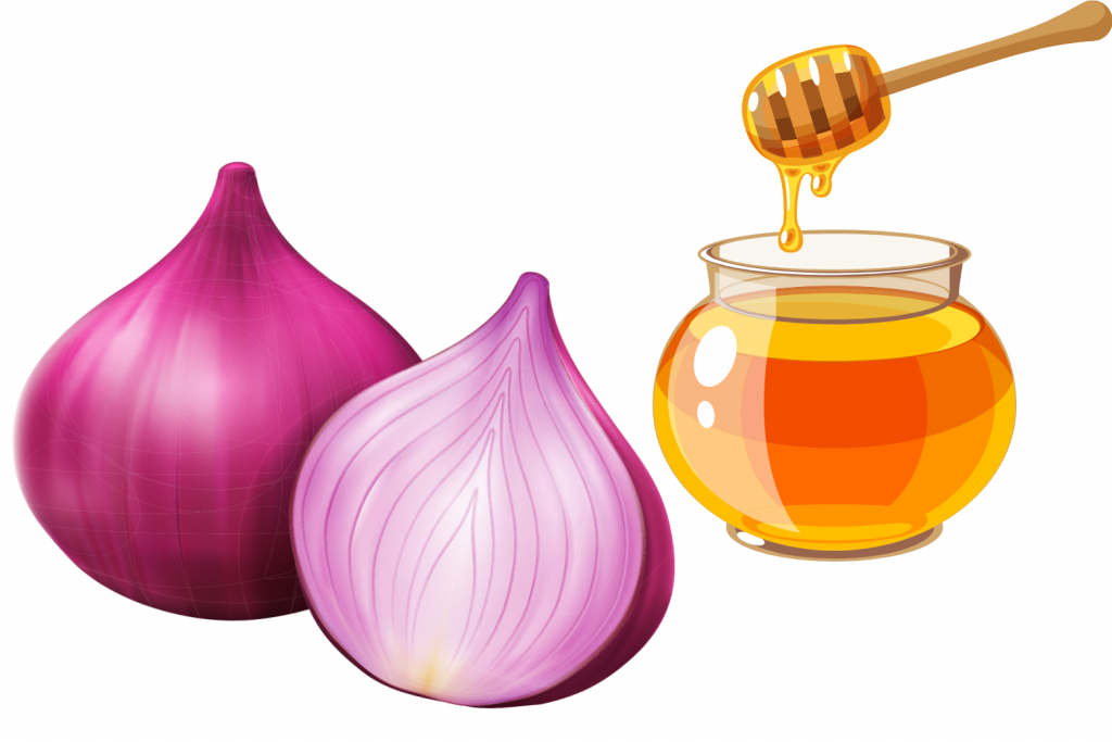 Miele con cipolla rossa: rimedio eccellente per influenza, cuore, circolazione, varici e colon (ricetta e modalità di assunzione)