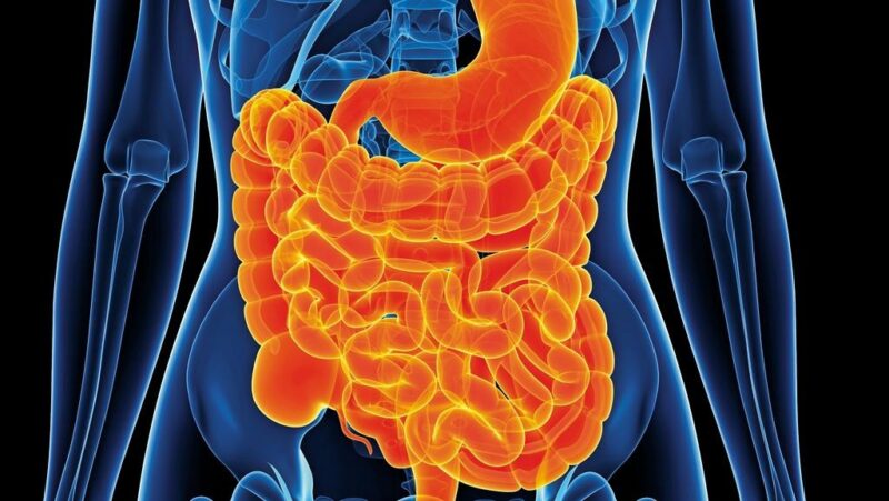 Acqua con aceto di mele e piante medicinali per un transito regolare