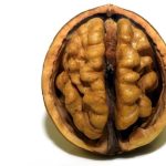 Noci: cibo per la mente e come aiutano il cervello e il corpo a funzionare al massimo
