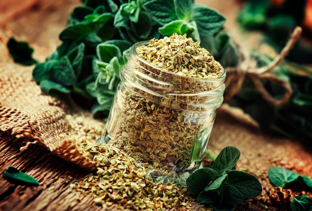 Origano: spezia e rimedio naturale molto efficace