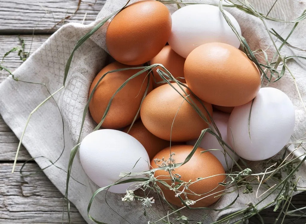 Uova: quanto sono salutari? Sono migliori le uova da galline allevate all’aperto rispetto a quelle da galline allevate in allevamenti intensivi?