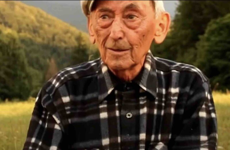 Fitoterapia di Ovidiu Bojor: una guida essenziale per la salute naturale