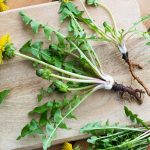 Ppdia: un medicament natural, la ndemna oricui