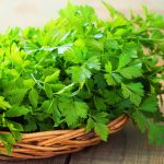 Le foglie di prezzemolo: un tesoro verde che guarisce dalle profondità delle cellule