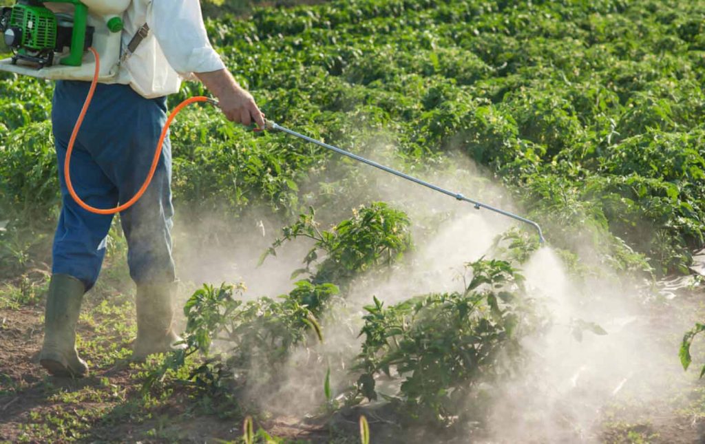 La frutta e la verdura trattate con sostanze chimiche possono essere molto pericolose! Scopri la lista delle più trattate in Romania