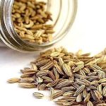 Olio di semi di prezzemolo: l’alleato sorprendente per fegato e reni (modo di preparazione e consumo)
