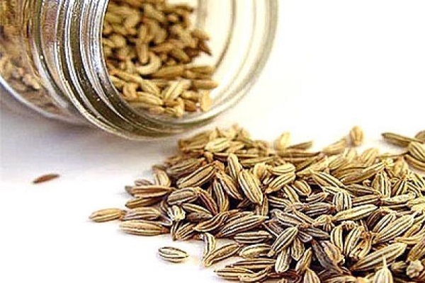 Olio di semi di prezzemolo: l’alleato sorprendente per fegato e reni (modo di preparazione e consumo)