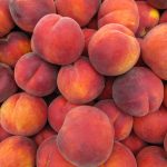 Le pesche regolano il colesterolo, combattono il cancro, mantengono il sistema nervoso in parametri ottimali e molto altro