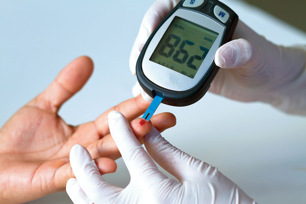 La pianta che può curare il diabete. Contiene il più grande deposito di insulina naturale