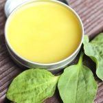 Unguento antico con cera d’api e foglie di piantaggine guarisce le ferite in pochi giorni