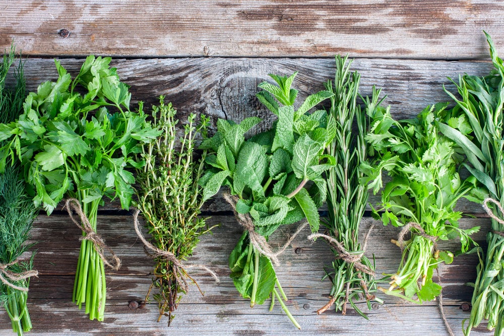 Queste piante aromatiche in cucina hanno eccezionali benefici per la salute + piatti con cui si abbinano meglio