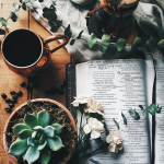 Le 12 migliori piante bibliche curative