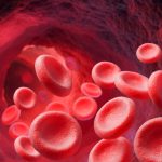 I 3 migliori mix di erbe per purificare il sangue