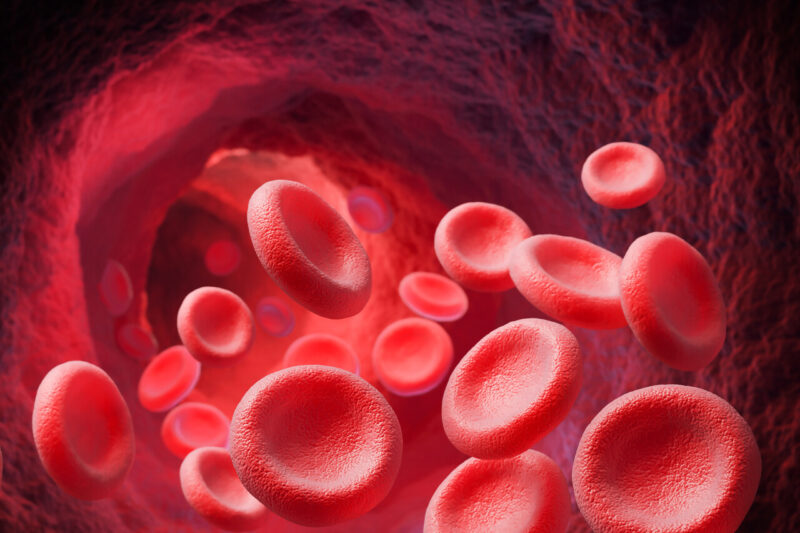I 3 migliori mix di erbe per purificare il sangue