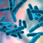 Alimenti ricchi di probiotici per la salute dell’intestino e non solo
